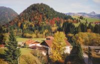 Ausblick im Herbst