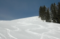 Skivergn�gen