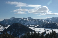 Verschneiter Baumriese